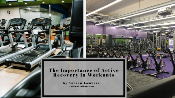 The Importance Of Active Recovery In Workouts Andrew Lombara